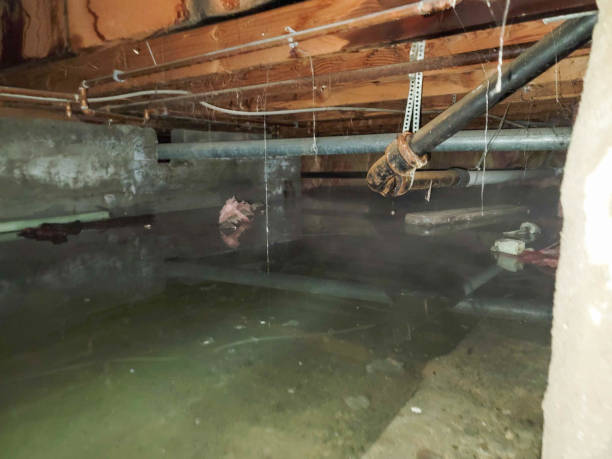 Best Water damage repair service  in Caddo, OK