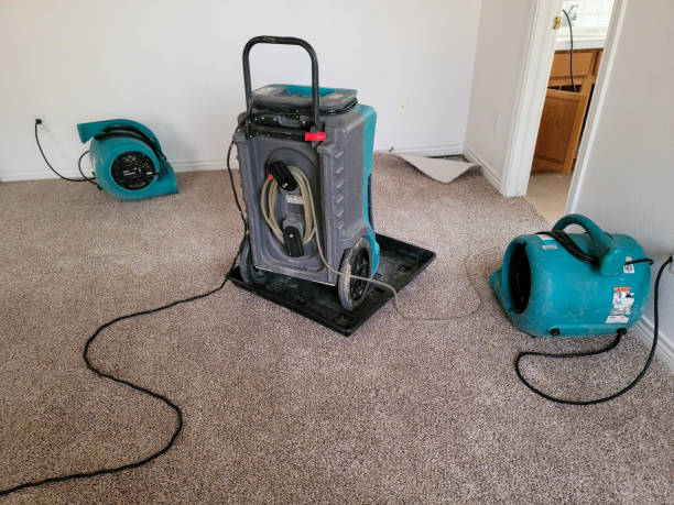 Best Water damage contractors near me  in Caddo, OK