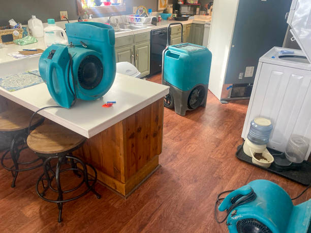 Best Commercial water damage restoration  in Caddo, OK