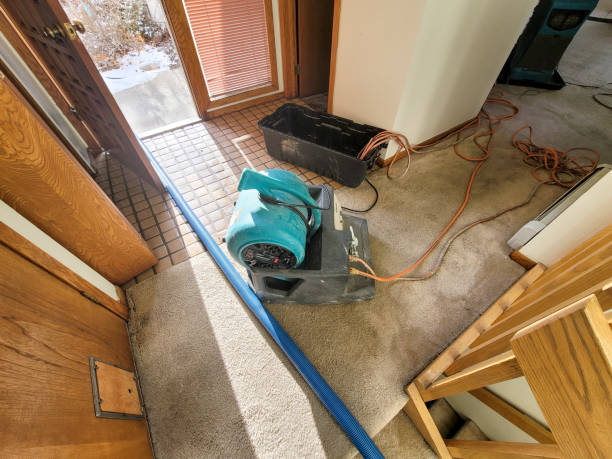Best Ceiling water damage repair  in Caddo, OK