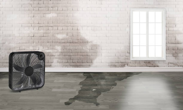 Best Sewage cleanup and water damage restoration  in Caddo, OK