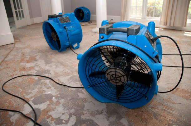 Best Residential water damage restoration  in Caddo, OK
