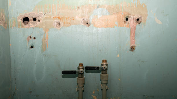 Best Water damage contractors near me  in Caddo, OK