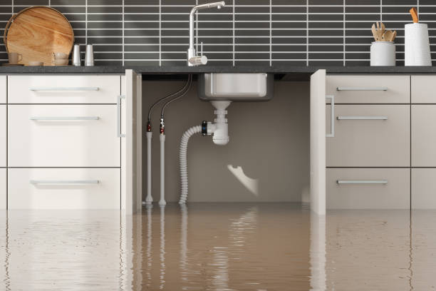 Best Water damage restoration services  in Caddo, OK